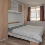 Krzak Lejlighed