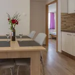 Krzak Lejlighed Nin