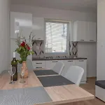Krzak